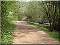 Paths and Bridge in Woodgate Valley Country Park