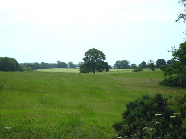 Looking across fields