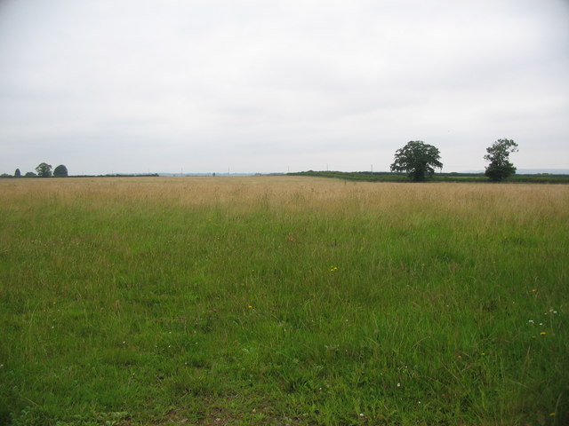 Farmland off Langham Lane