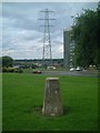 Trig Point at Druids Heath