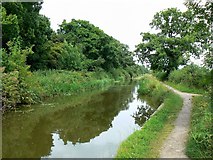 SU0781 : Wilts and Berks canal, Wootton Bassett (1) by Brian Robert Marshall