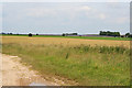 Farmland off High Dyke