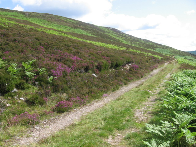 Track on north bank of Loch Errochty