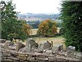 Across the valley