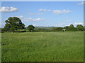 Farmland, Oving Hill Farm near Woodham