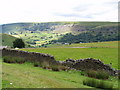 Farmland on Manmoel Common