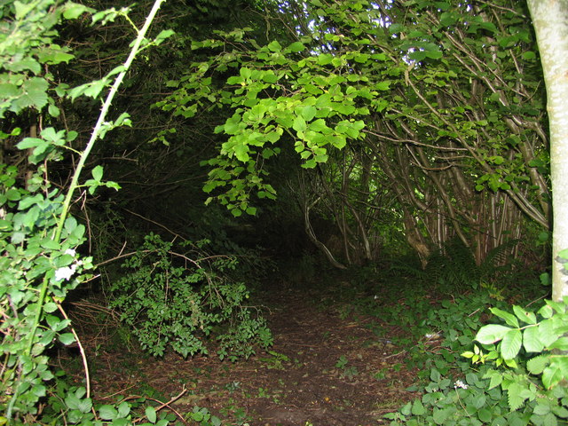 Banked and hedged lane, Llanddetty Church