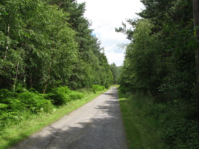 The track to Lightwater Cottages