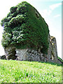 V9240 : Castles of Munster: Rossmore, Cork (1) by Mike Searle