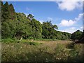 SX1898 : Meadow by Millook Water by Derek Harper