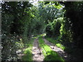 Lane leading southwest from Great Wenham Church