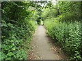 Footpath on Roeshot Hill