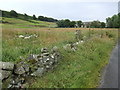 Tumbledown wall near Lowhillside