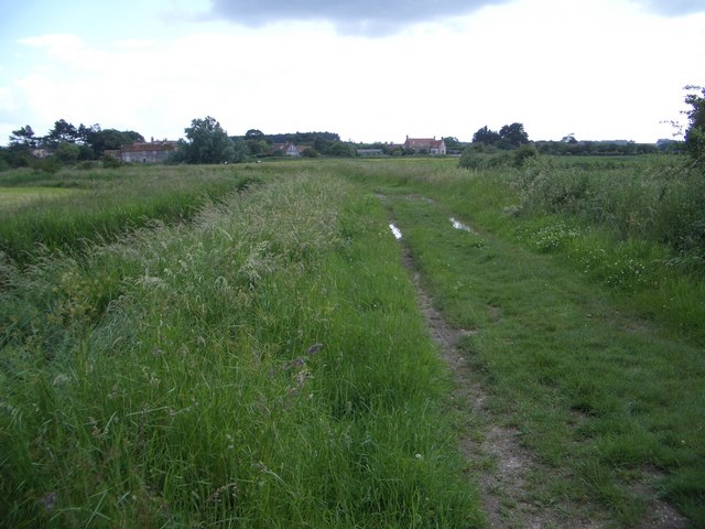 Public Footpath North of Burnham Norton
