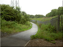 SJ2890 : Cycle-path to Wallasey by David Quinn