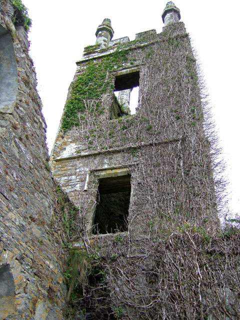 Ruined Church On The Former Castlefreke © Mike Searle :: Geograph 