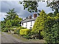 Wayside Cottage, Manley Common