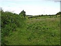 Manley - view along the Delamere Way