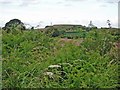 Frodsham - view from Waterloo Lane