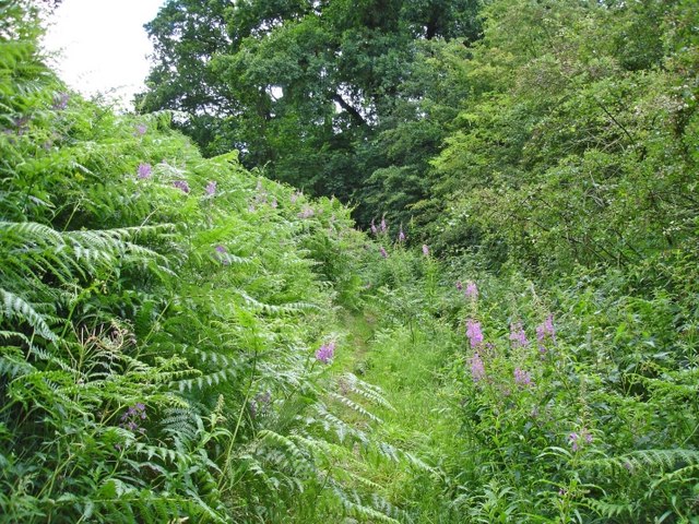 Frodsham - view along footpath 83