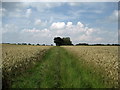 Footpath near Ladyfield House