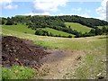 Pasture near Cefn du uchaf