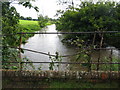 River Stour near Eccliffe