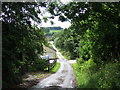 Lane to Ashcombe Farm