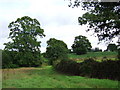 Fields near Oathill