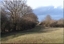 SO8647 : Old bridleway on Roman road Kempsey common by Andrew Darge