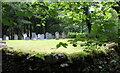 Mynwent Capel Hermon Cemetery