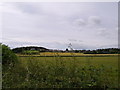 Looking to Inchinnan from Greenock Road A8