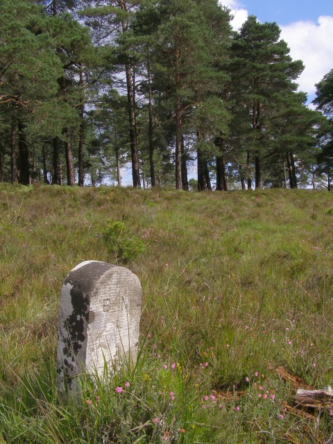 Boundary marker on Kingston Great Common, New Forest
