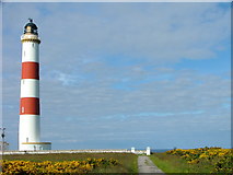 NH9487 : Tarbat Ness Lighthouse by Steven Brown