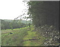 The bridle path towards Dolfrwynog