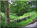 Bridge over Thornley Beck