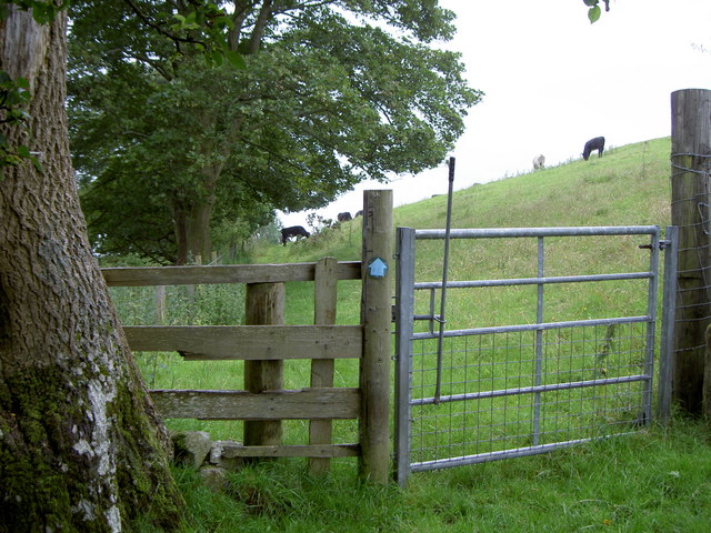 Gate and footpath near Llanferres