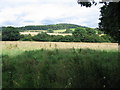 Farmland off Millbrook Lane