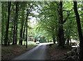 Approaching the road junction at Hermon