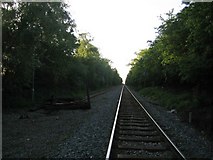 SP6923 : Railway line near Calvert by Andy Gryce