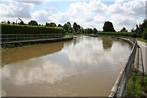 SK9669 : River Witham by Richard Croft