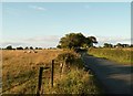 Country road near Hainings House