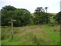 SD5349 : Footpath to Fell End by ray blow