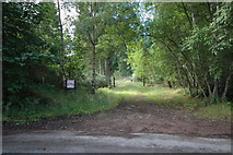 NH5744 : Forest access track by Steven Brown