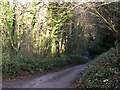 Minor Road through a Wooded Valley