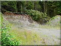 Small quarry in the Eskdalemuir Forest