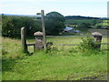 Footpath to Cowall Moor