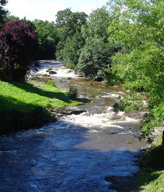 River Rhiw, Berriew