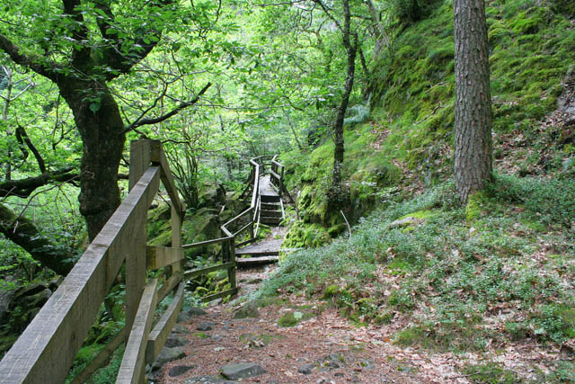 Launchy Gill Forest Trail © Kate Jewell :: Geograph Britain and Ireland