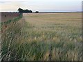 Farmland above Blewbury